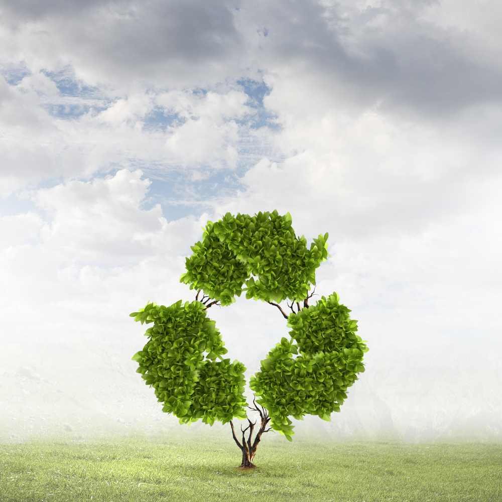 Eco-friendly recycling concept